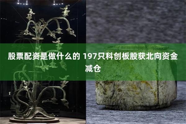 股票配资是做什么的 197只科创板股获北向资金减仓