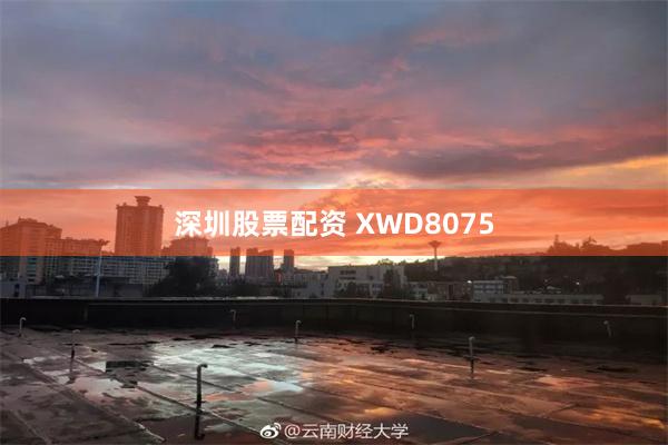 深圳股票配资 XWD8075