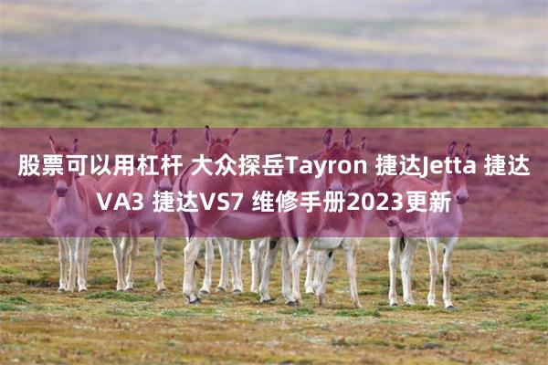 股票可以用杠杆 大众探岳Tayron 捷达Jetta 捷达VA3 捷达VS7 维修手册2023更新