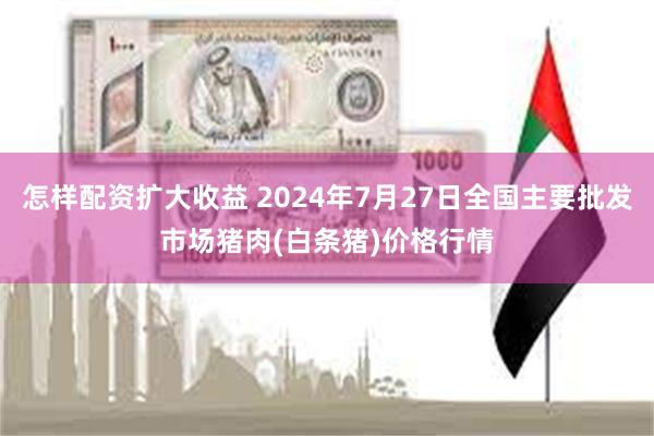 怎样配资扩大收益 2024年7月27日全国主要批发市场猪肉(白条猪)价格行情