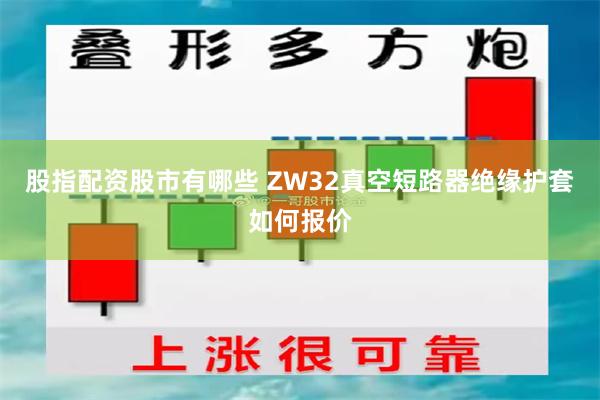 股指配资股市有哪些 ZW32真空短路器绝缘护套如何报价