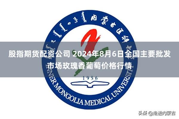 股指期货配资公司 2024年8月6日全国主要批发市场玫瑰香葡萄价格行情