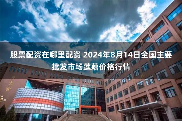 股票配资在哪里配资 2024年8月14日全国主要批发市场莲藕价格行情