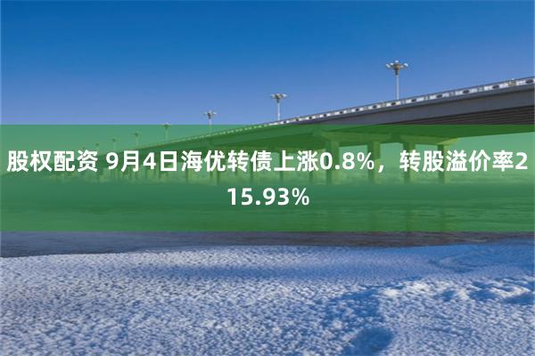 股权配资 9月4日海优转债上涨0.8%，转股溢价率215.93%