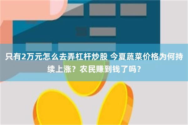 只有2万元怎么去弄杠杆炒股 今夏蔬菜价格为何持续上涨？农民赚到钱了吗？