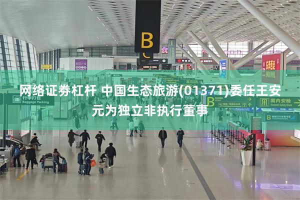 网络证劵杠杆 中国生态旅游(01371)委任王安元为独立非执行董事