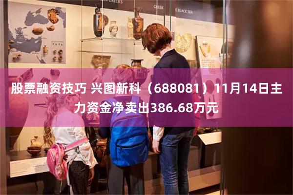 股票融资技巧 兴图新科（688081）11月14日主力资金净卖出386.68万元