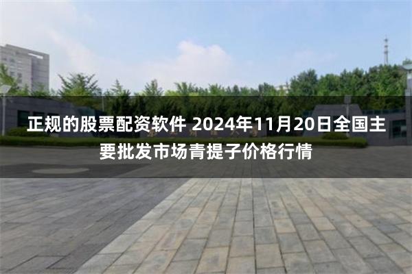 正规的股票配资软件 2024年11月20日全国主要批发市场青提子价格行情