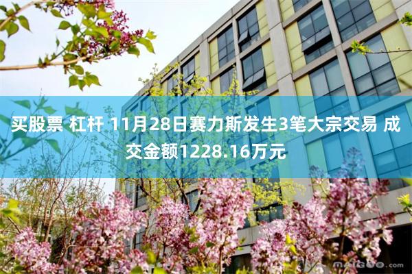 买股票 杠杆 11月28日赛力斯发生3笔大宗交易 成交金额1228.16万元