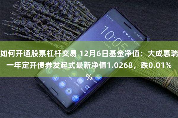 如何开通股票杠杆交易 12月6日基金净值：大成惠瑞一年定开债券发起式最新净值1.0268，跌0.01%