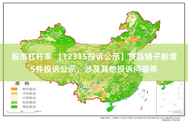 股市杠杆率 【12315投诉公示】良品铺子新增5件投诉公示，涉及其他投诉问题等