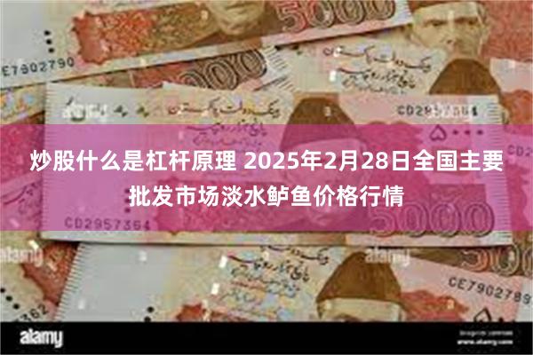 炒股什么是杠杆原理 2025年2月28日全国主要批发市场淡水鲈鱼价格行情