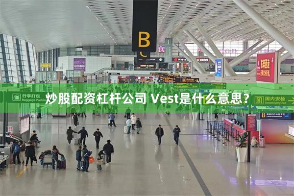 炒股配资杠杆公司 Vest是什么意思？