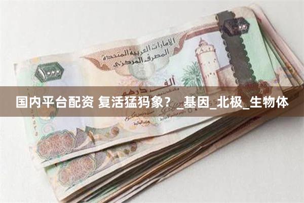 国内平台配资 复活猛犸象？_基因_北极_生物体